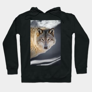 Gray Wolf Hoodie